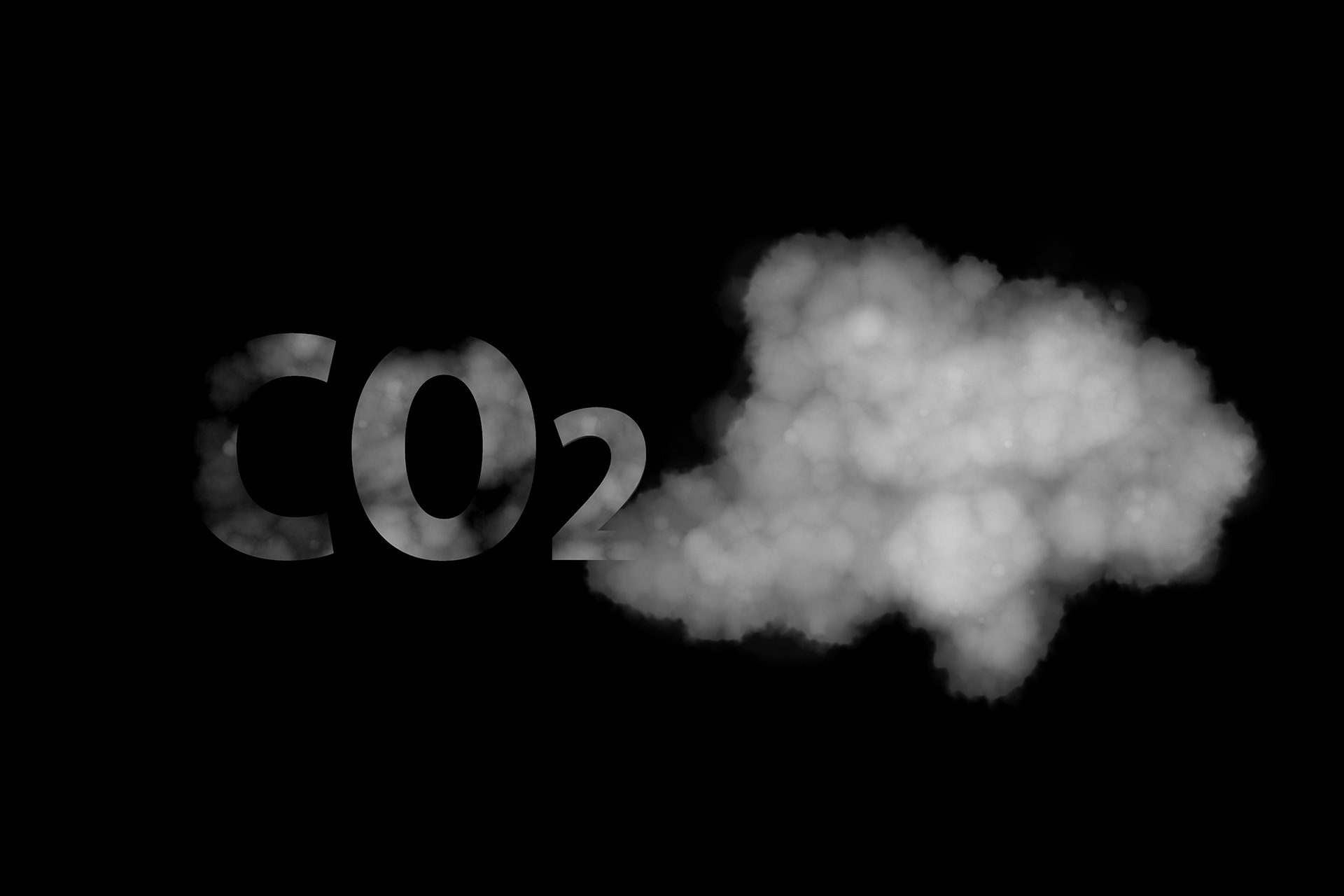 Q3 commits to net zero